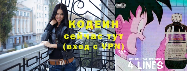прущий лед Алзамай