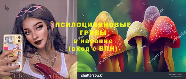 прущий лед Алзамай