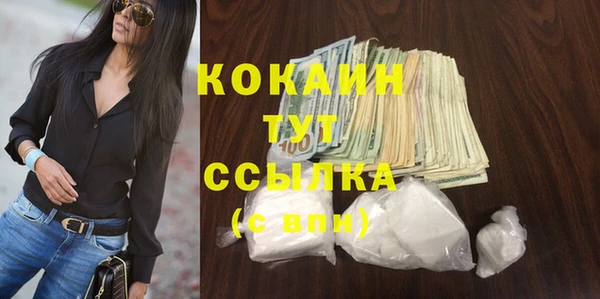 прущий лед Алзамай