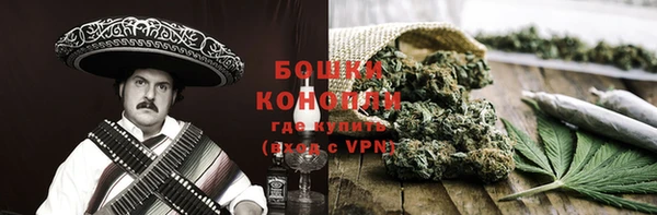 прущий лед Алзамай