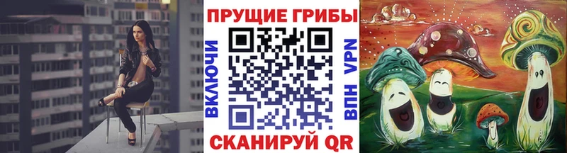 где купить   Шуя  Галлюциногенные грибы MAGIC MUSHROOMS 