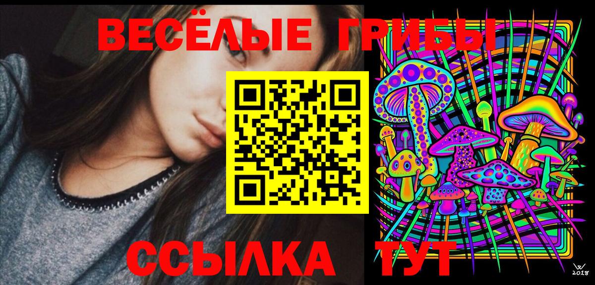 Галлюциногенные грибы MAGIC MUSHROOMS  Вход с VPN  Шуя 