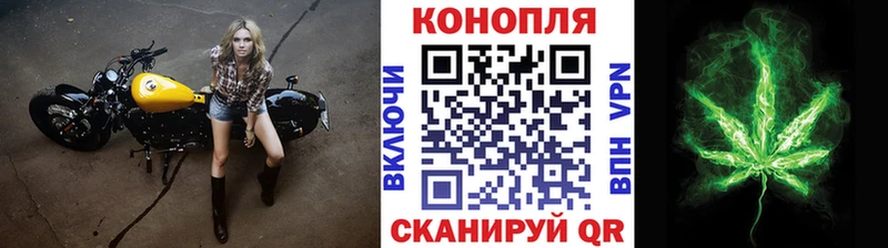 дарк нет наркотические препараты  Шуя  Шишки марихуана гибрид  цены наркотик 